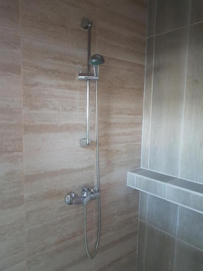 Lara Guest House Sfântu-Gheorghe Extérieur photo