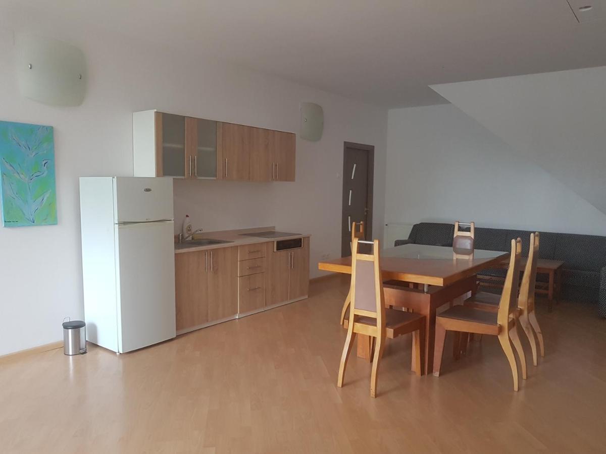 Lara Guest House Sfântu-Gheorghe Extérieur photo