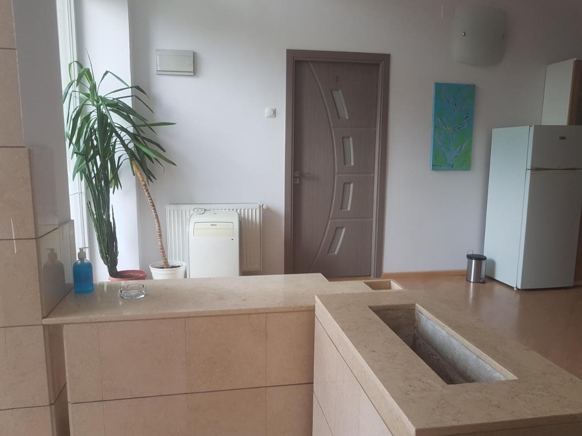 Lara Guest House Sfântu-Gheorghe Extérieur photo