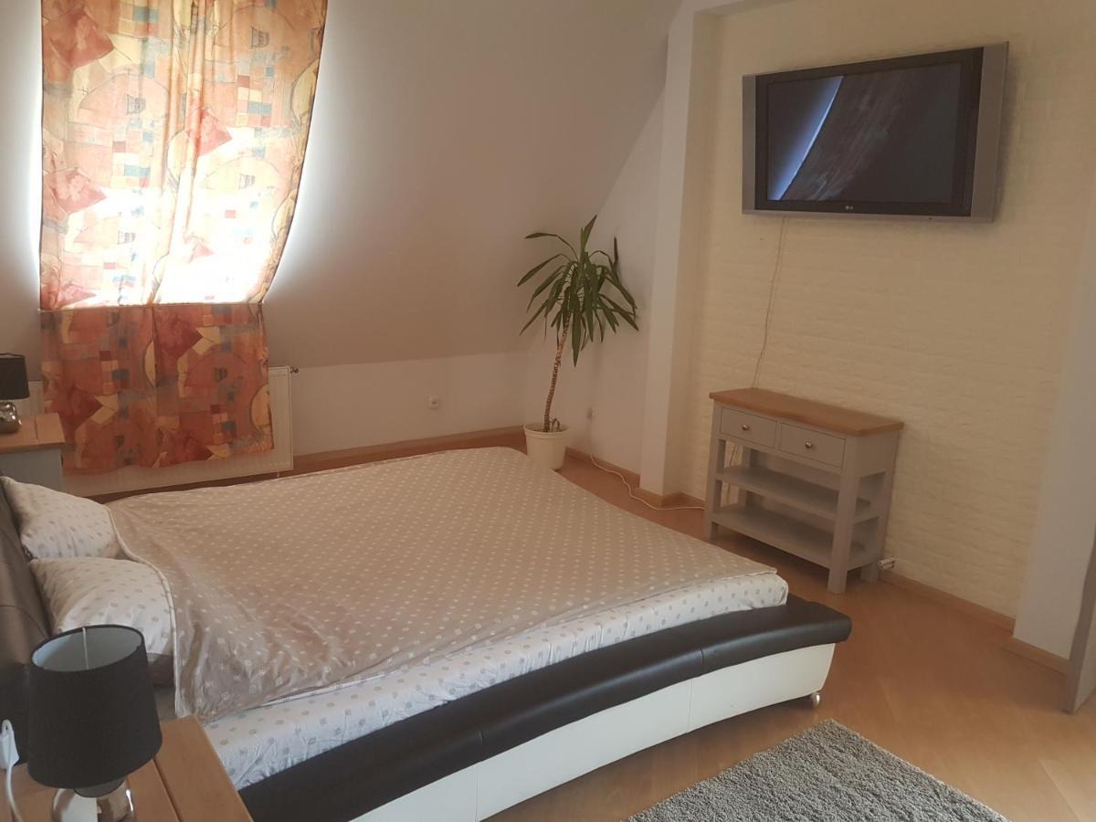 Lara Guest House Sfântu-Gheorghe Extérieur photo