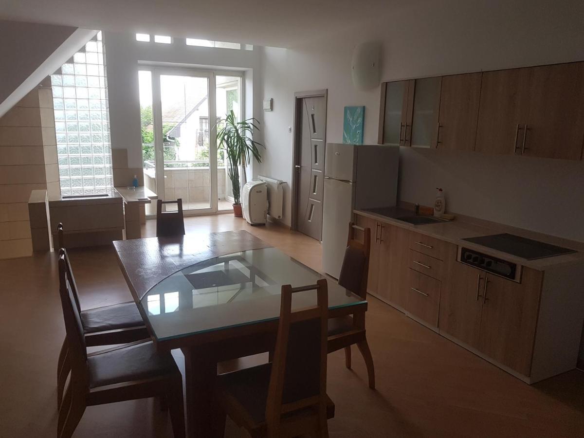 Lara Guest House Sfântu-Gheorghe Extérieur photo