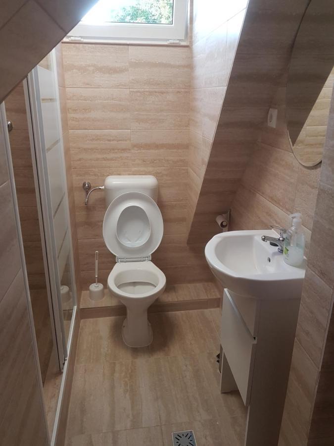 Lara Guest House Sfântu-Gheorghe Extérieur photo