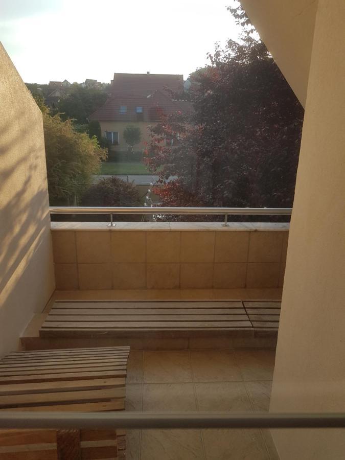 Lara Guest House Sfântu-Gheorghe Extérieur photo