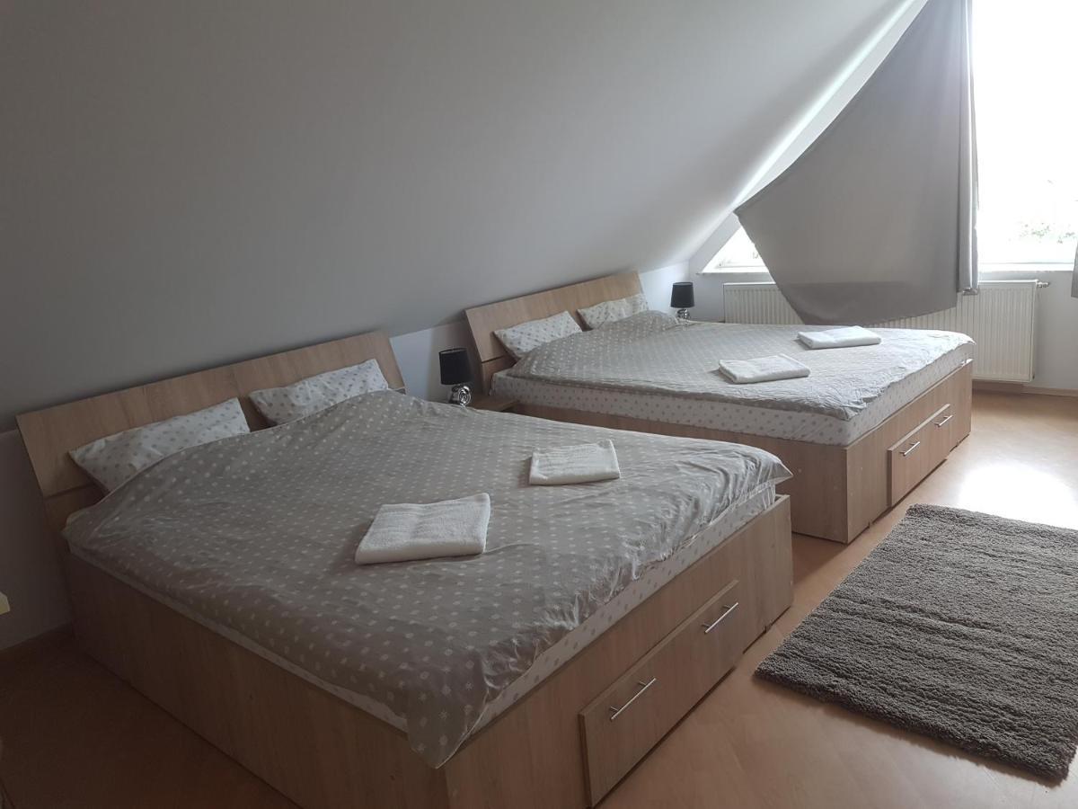 Lara Guest House Sfântu-Gheorghe Extérieur photo