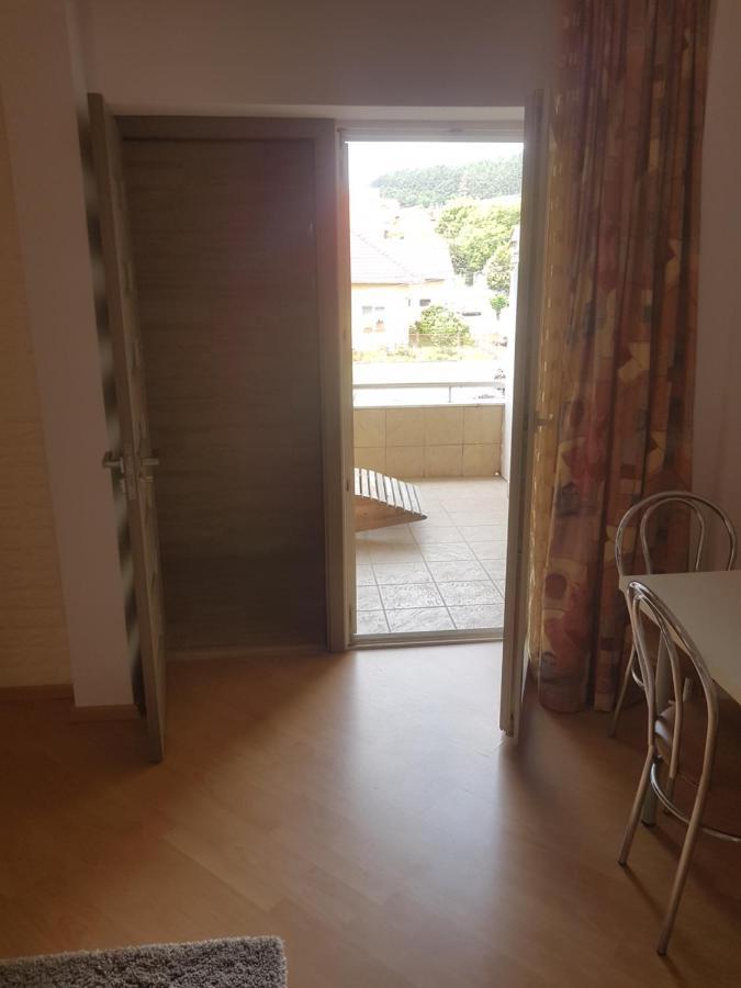 Lara Guest House Sfântu-Gheorghe Extérieur photo