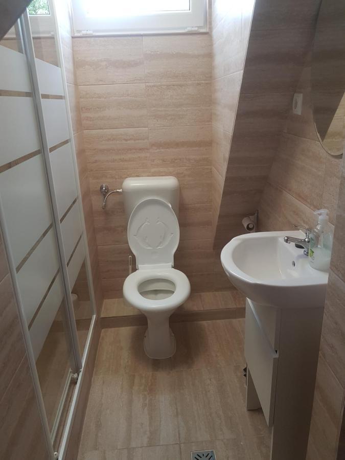 Lara Guest House Sfântu-Gheorghe Extérieur photo