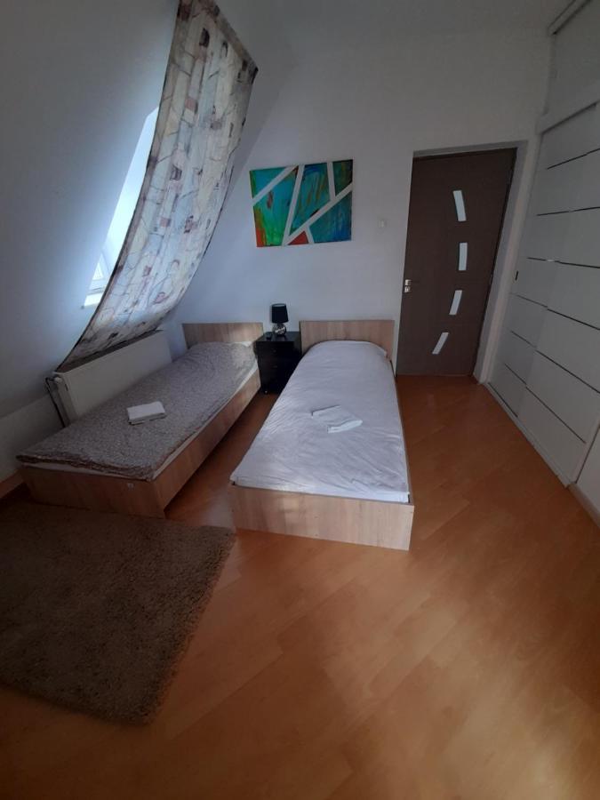 Lara Guest House Sfântu-Gheorghe Extérieur photo