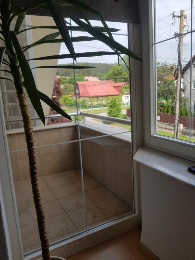 Lara Guest House Sfântu-Gheorghe Extérieur photo